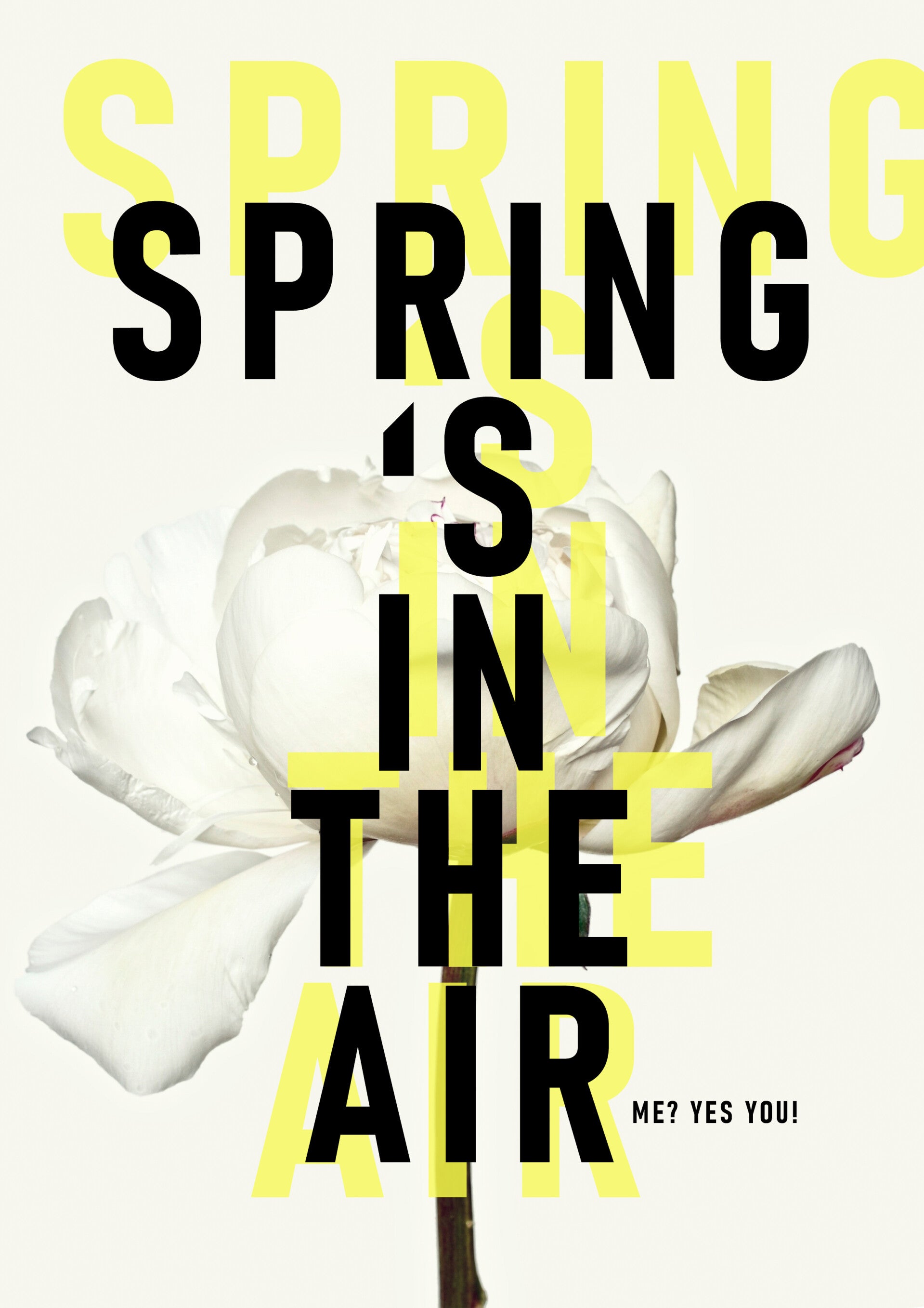 Spring 's in the air