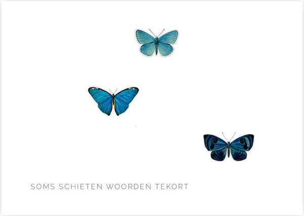 Geen woorden_Butterfly