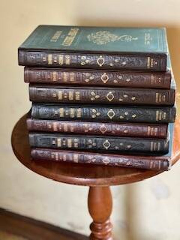 Panorama de la grande guerre en 7 volumes