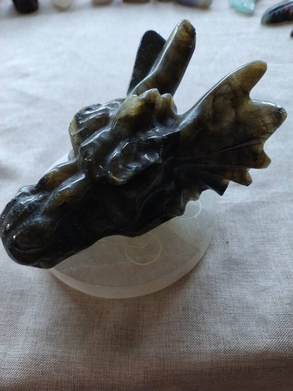 Labradoriet draken carving