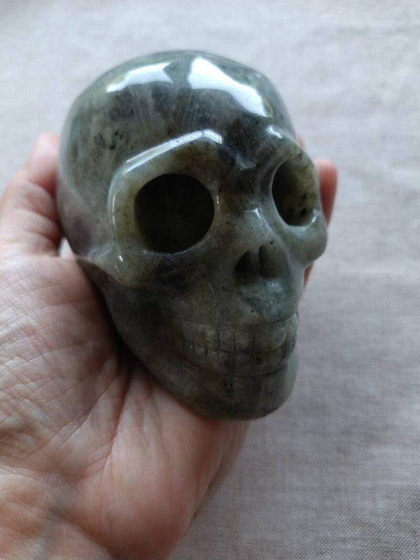 Labradoriet skull