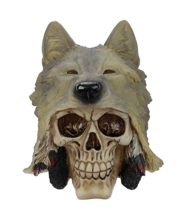 Wolf skull