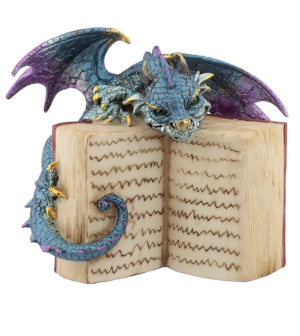 Baby dragon book