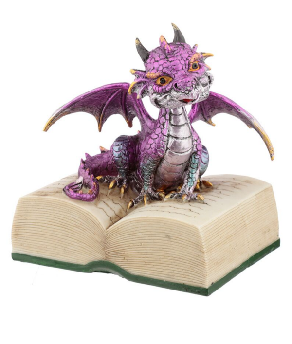Baby dragon book