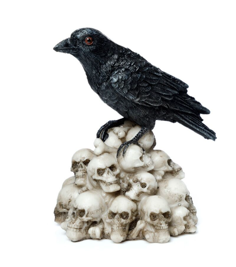 Raaf op schedels