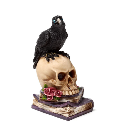 Raaf op schedel met bloem