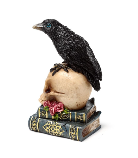 Raaf op shedel met bloem
