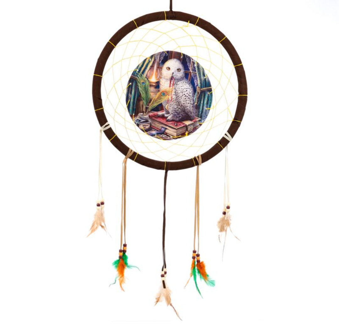 Guardian of spells owl