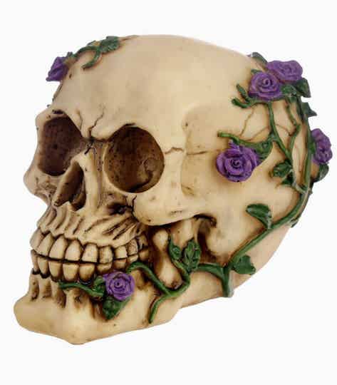 Schedel pink rose