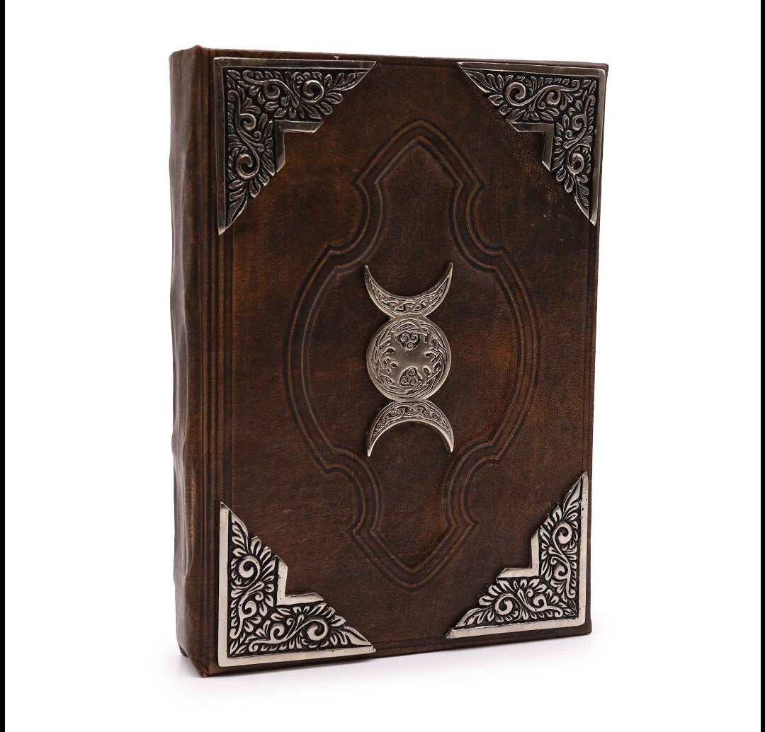 Vintage book of de moon