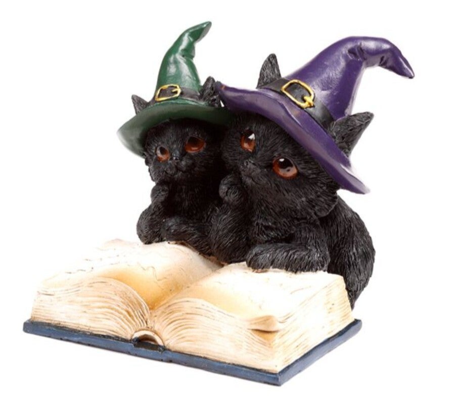 Duo heksepoes met boek