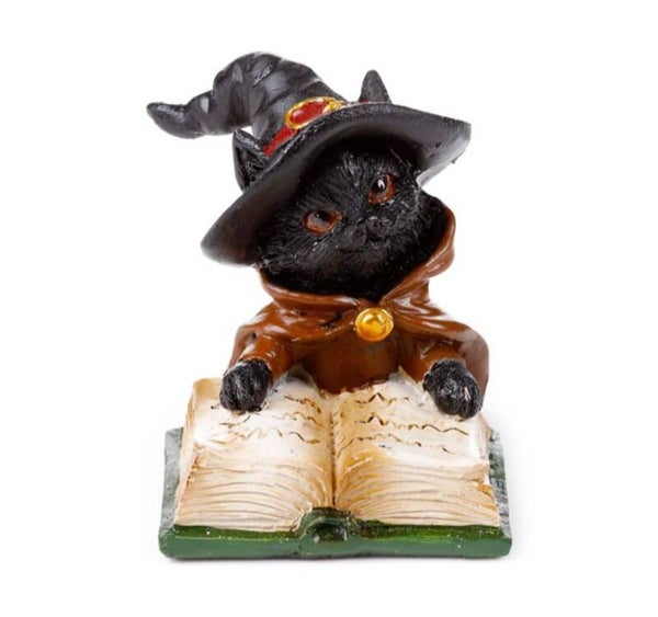 Poes op boek