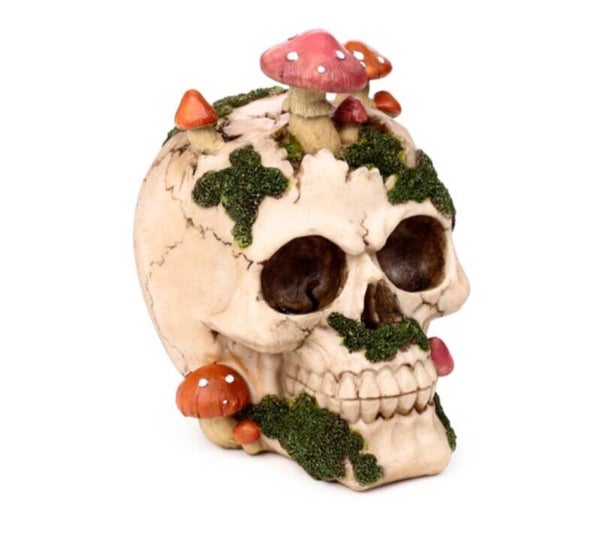 Schedel met paddenstoelen