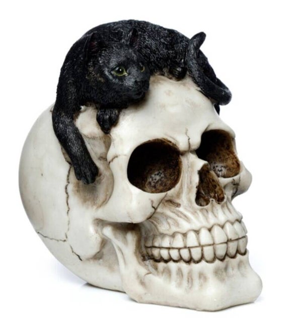 Schedel met zwarte kat