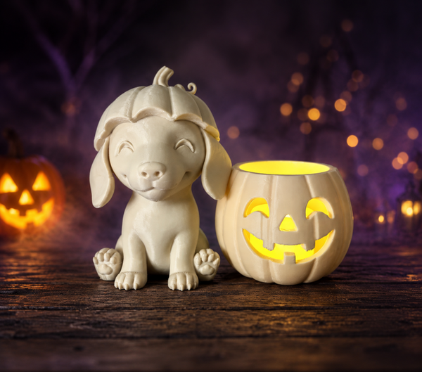Pumpkin Teckel