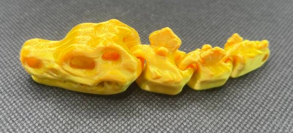 mini dragon