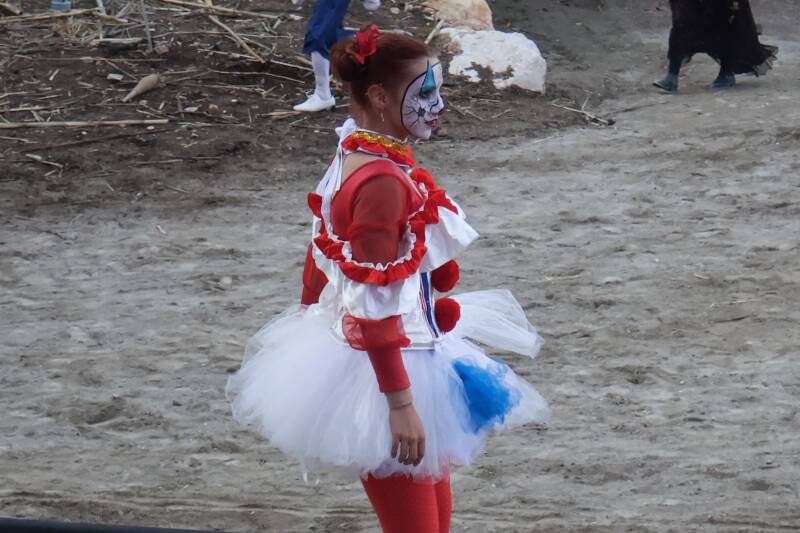 img_0409-standard-bh080r.jpg
