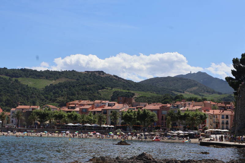 img_0537-standard.jpg