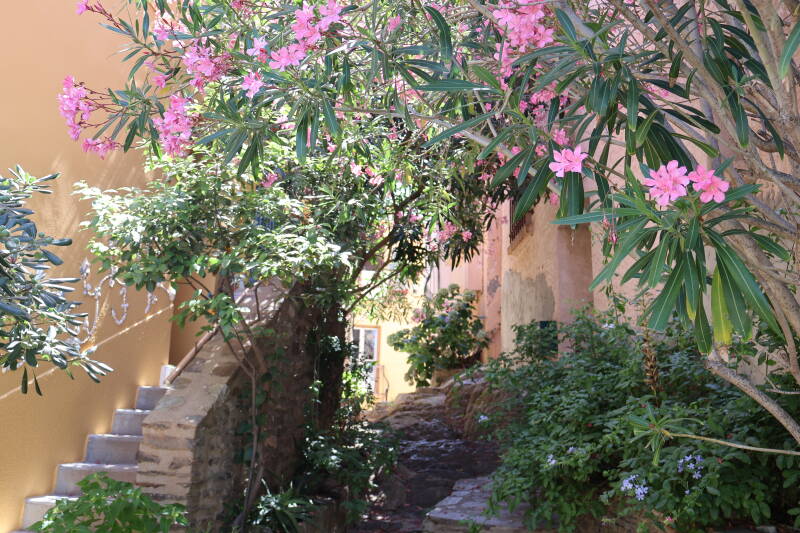 img_0573-standard.jpg