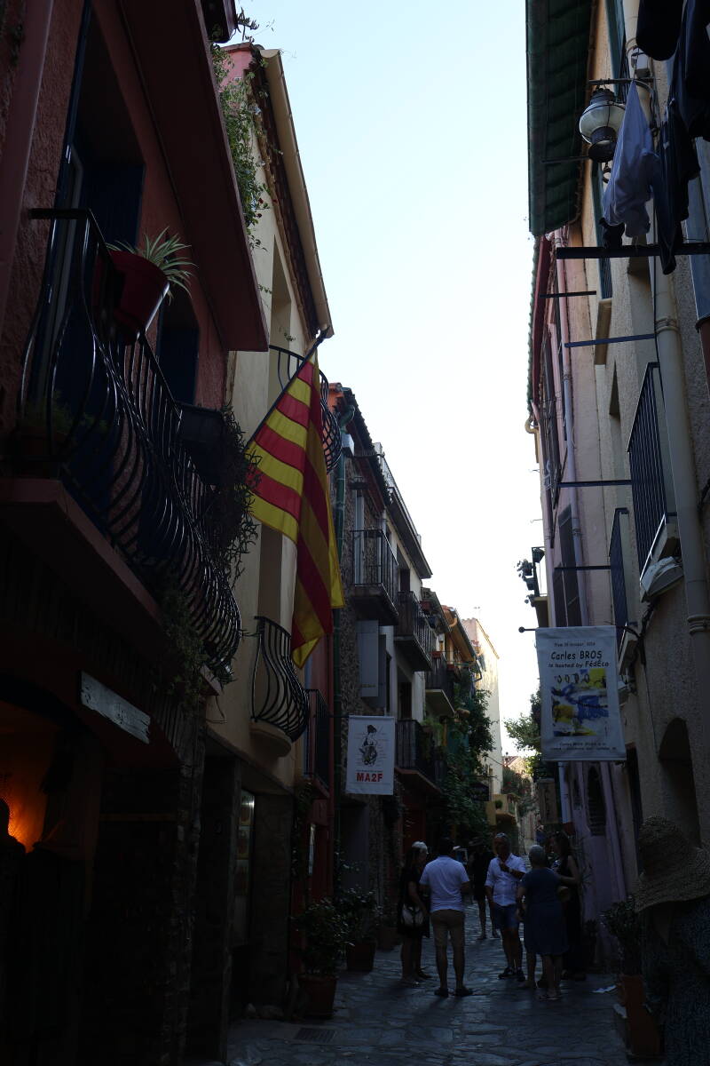 img_0660-standard.jpg