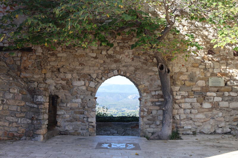 img_1291-standard.jpg
