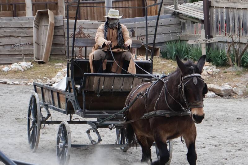 Nicolas et la Mule 1