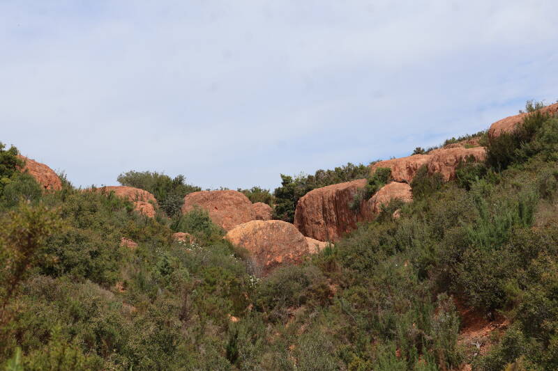 img_3135-standard.jpg