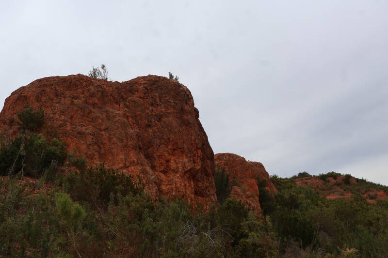 img_3184-standard.jpg