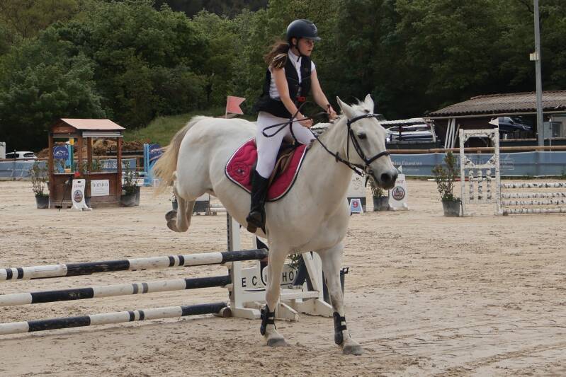 img_3260-standard.jpg