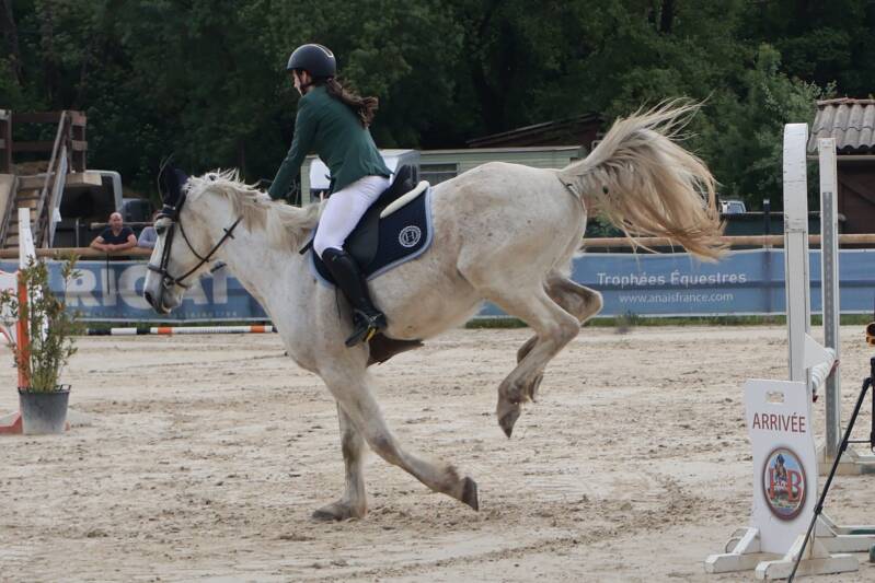 img_3333-standard.jpg