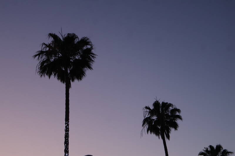 img_3886-standard.jpg