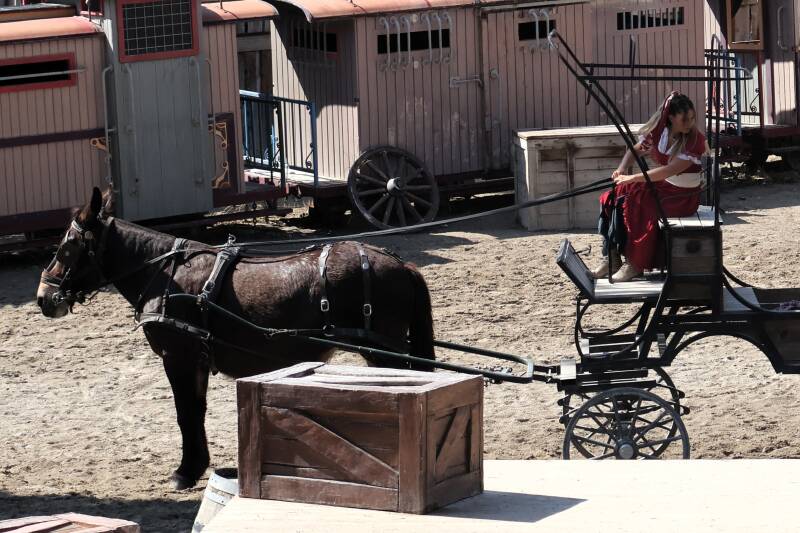 Rose et la Mule 1