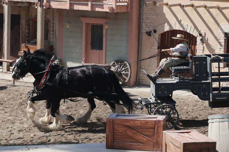 Pat et les Chevaux de Trait 1