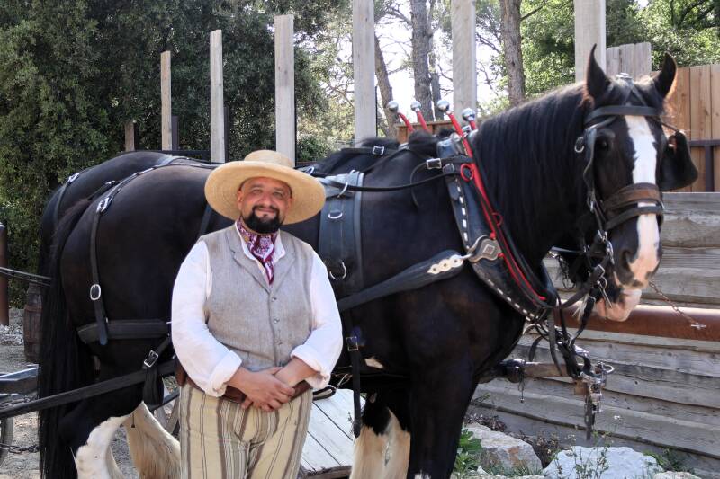 Pat et les Chevaux de Trait 2