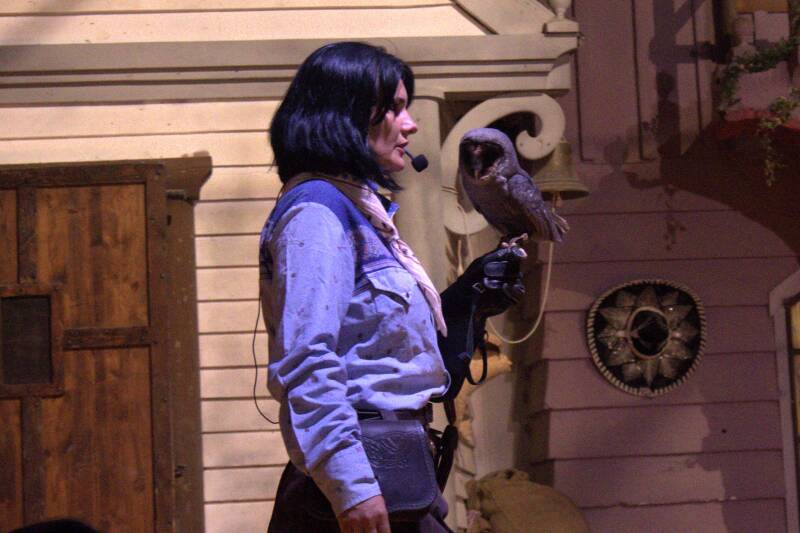 img_5339-standard-2cr65b.jpg