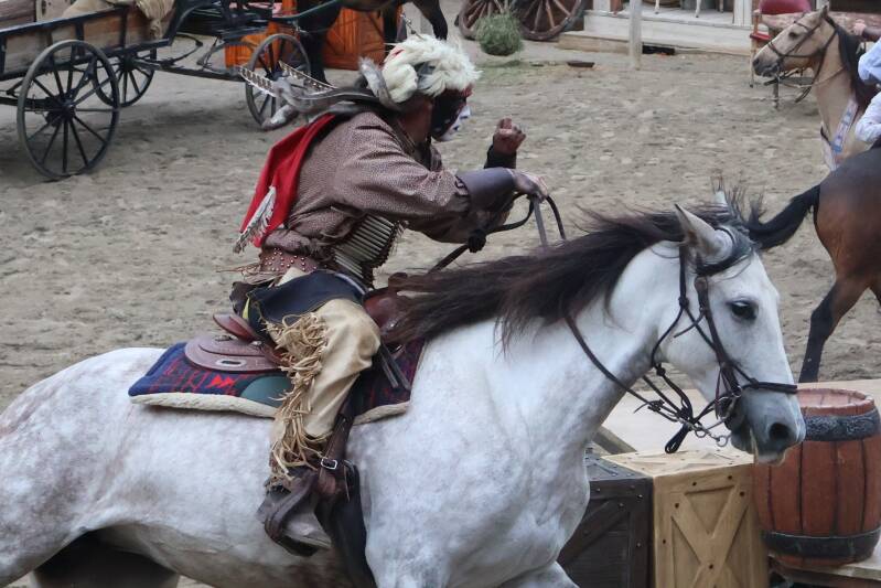 Roman et Ginn 5