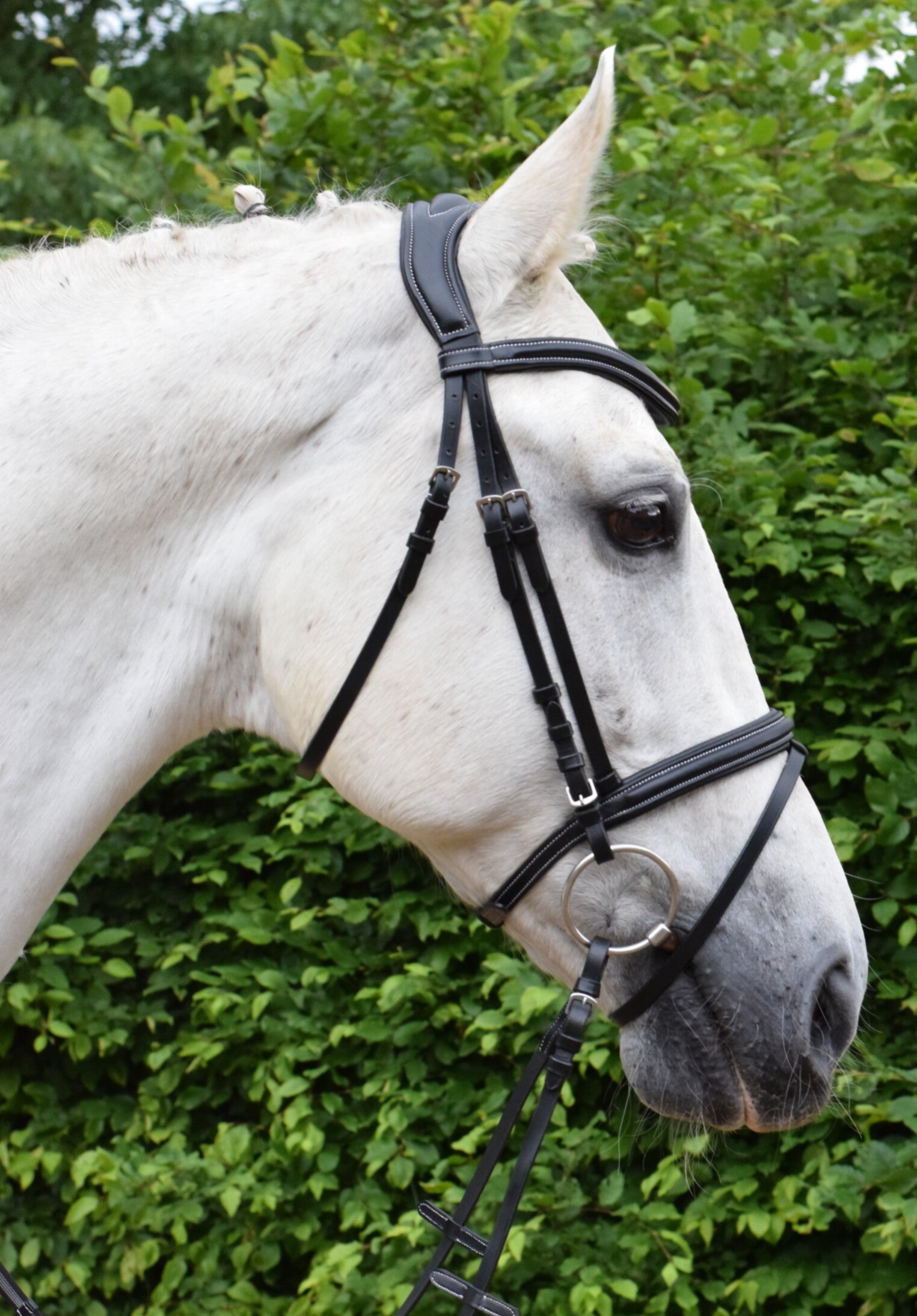 Hoofdstel Ischgl EBI