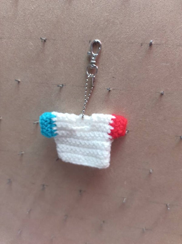 le maillot francais