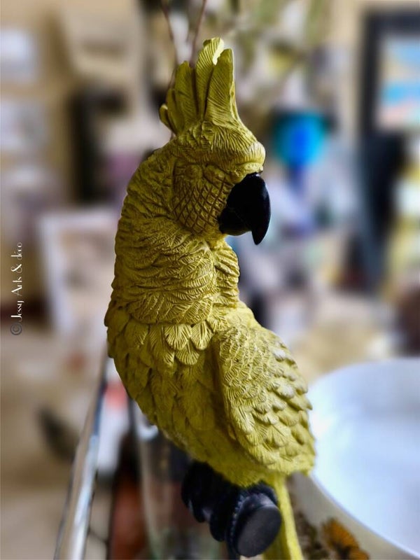 Perroquet en bois