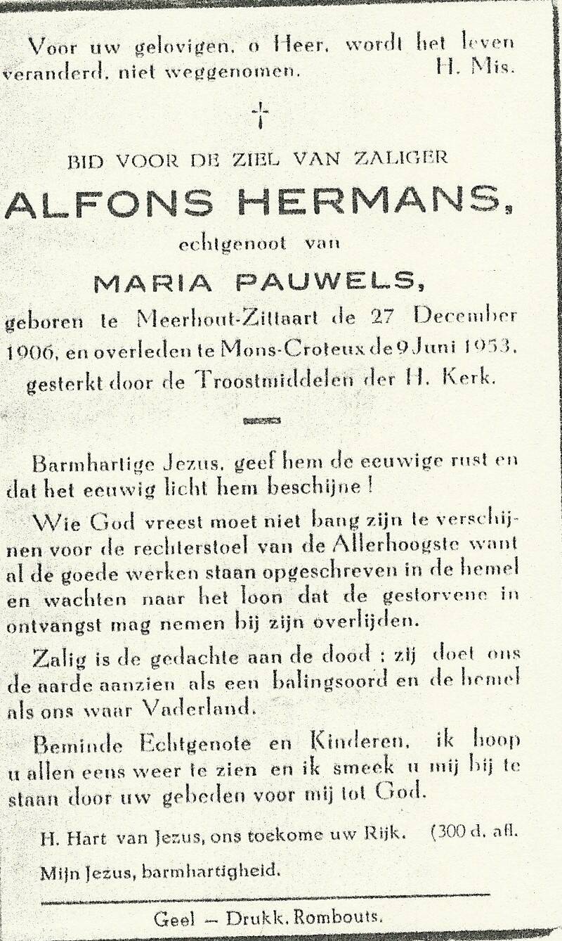 hermans-alfons-pauwels-standard.jpg