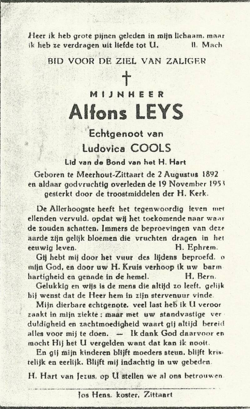 leys-alfons-cools-standard.jpg