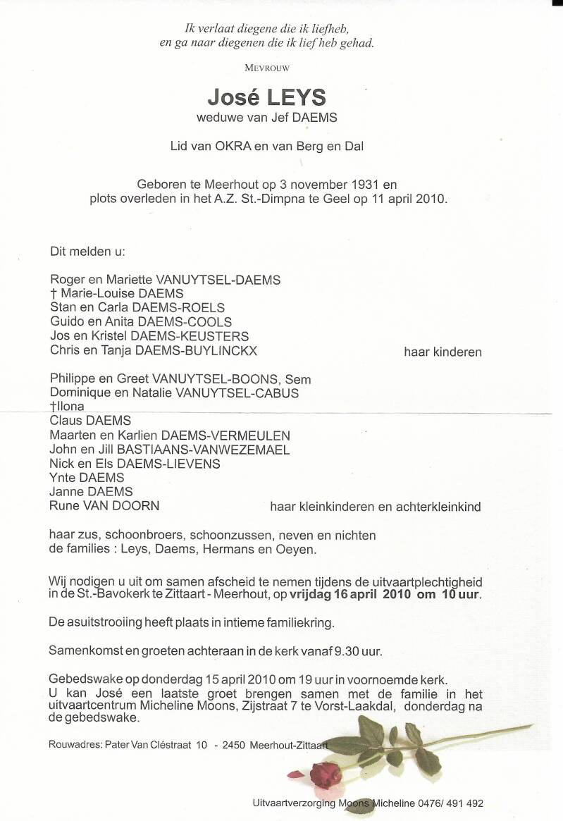 leys-josee-db-standard.jpg