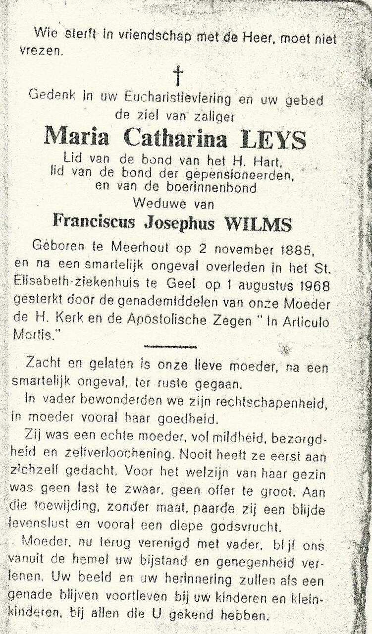 leys-m-c-too-doos-wilms-standard.jpg