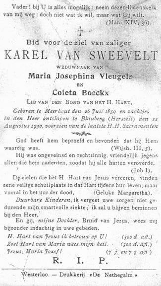 van-sweevelt-karel-boeckx-vleugels-standard.jpg