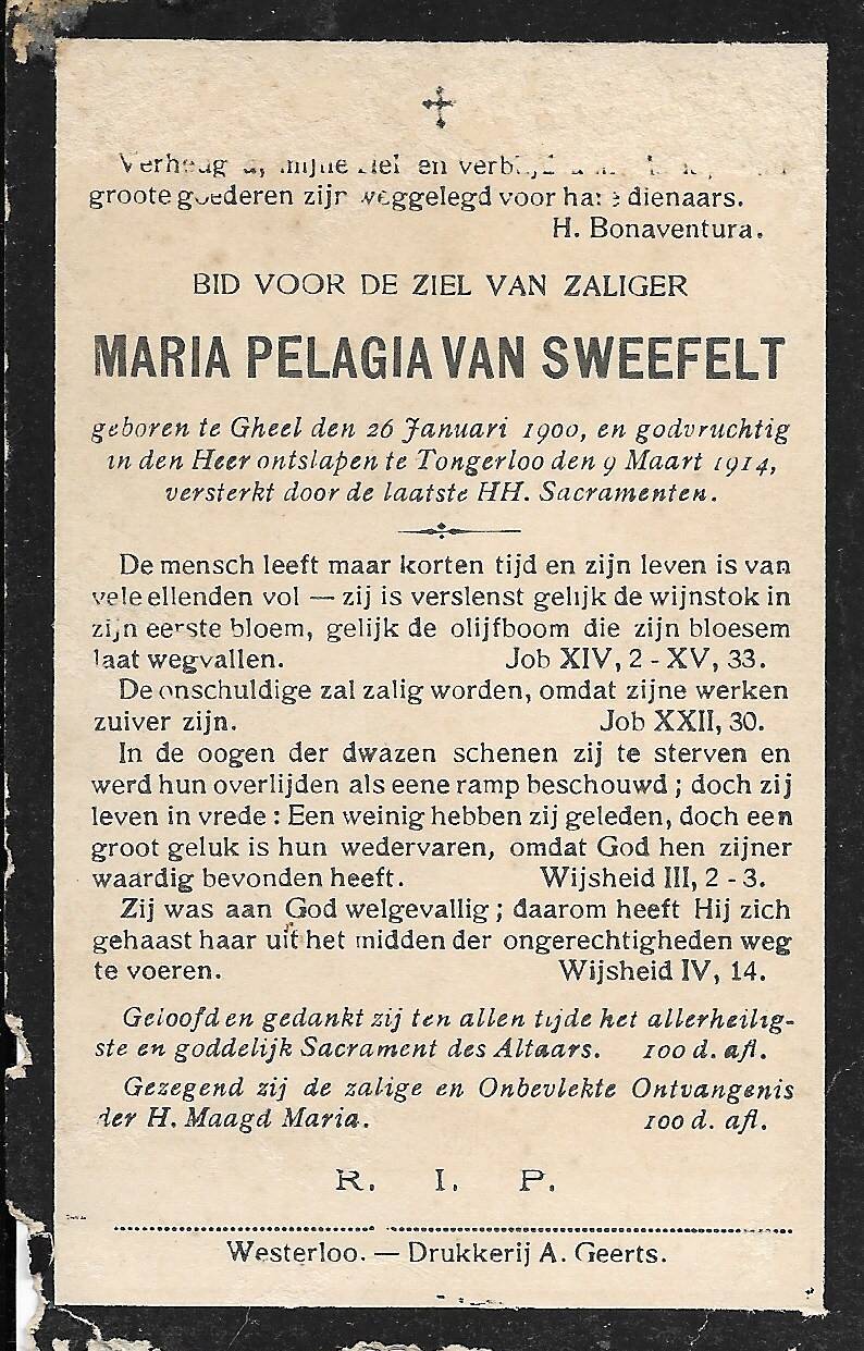 van-sweevelt-maria-p-standard.jpg