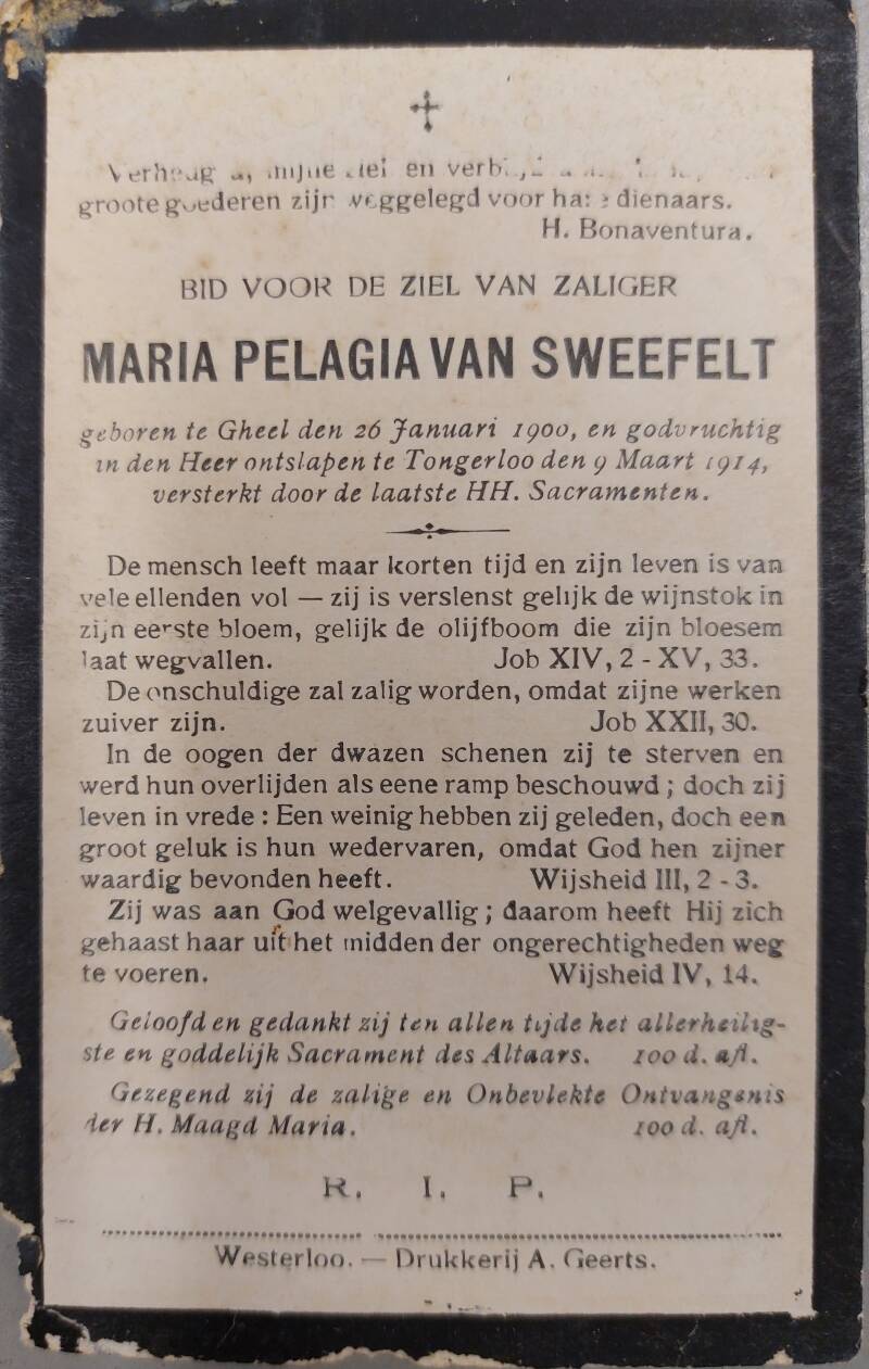van-sweevelt-maria-pelagie-standard-0wcpwr.jpg