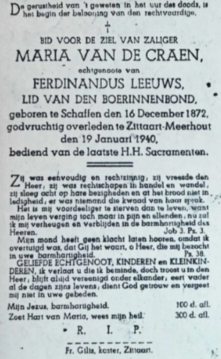 vandecraen-maria-leeuws-standard.png