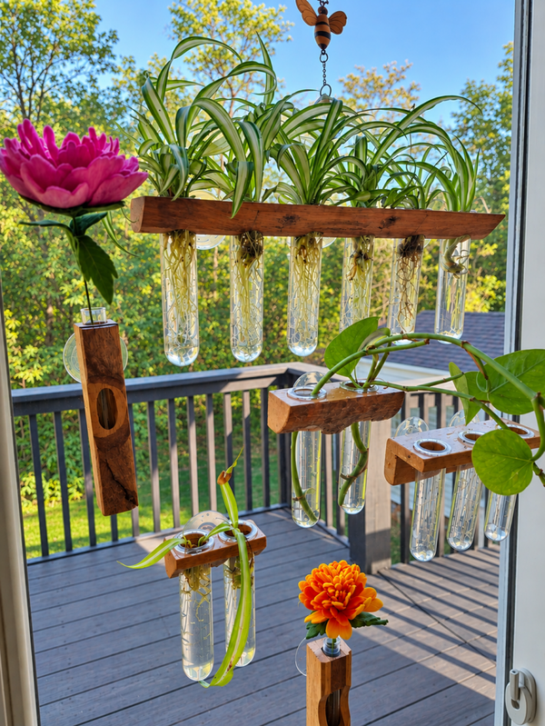 Propagation Vases
