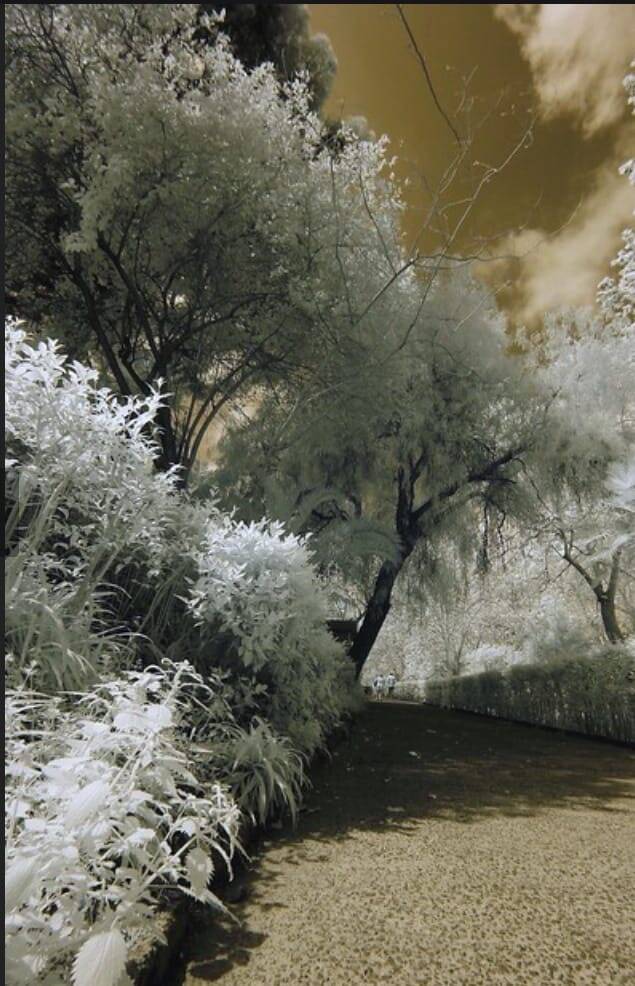 Foto - Infrared