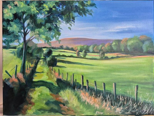 Autumn morning in the Sperrins